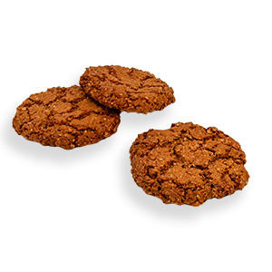 300x300px-Haverkoeken-Speculaas.png