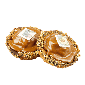 300x300px-Paas Roset-Mokka.png