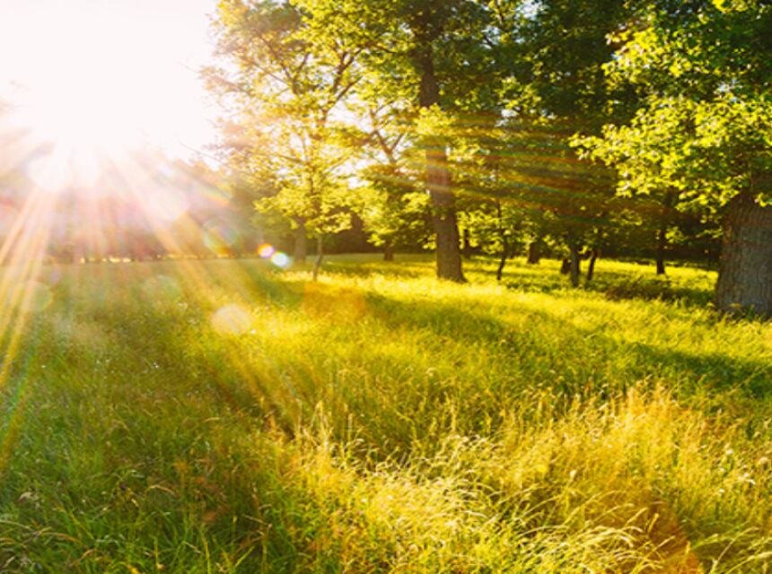 De lente is officieel begonnen!