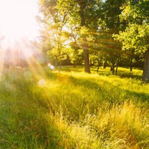 De lente is officieel begonnen!